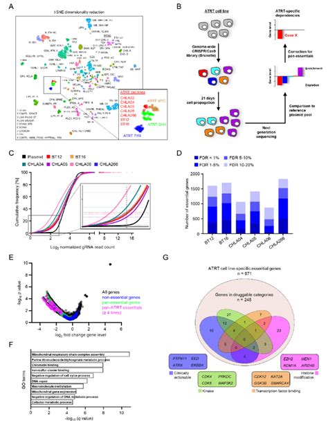 Crispr Cas Knockout Screens Reveal Genetic Dependencies Of Atrts A