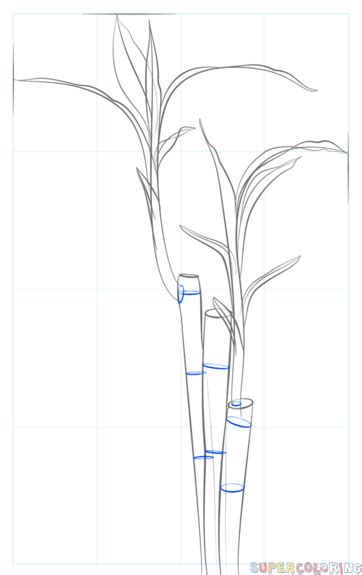 How To Draw A Bamboo Step By Step Drawing Tutorials