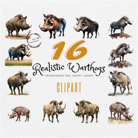 Realistic Warthog Clipart Bundle 16 Watercolor Illustrations Unique Gift for Wildlife ...