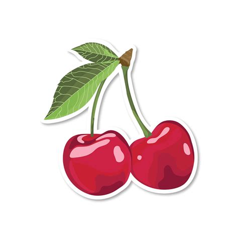 Red Cherry Sticker Fruit Vinyl Stickers Waterproof Sticker Etsy