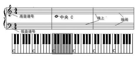 零基础学习钢琴 钢琴1234567指法 钢琴入门教程 知乎