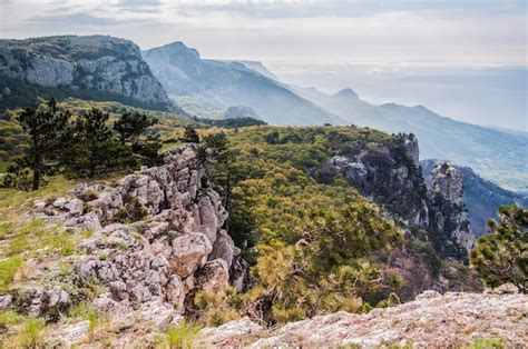 Grande pedra em primeiro plano coberta de musgo árvores na encosta da