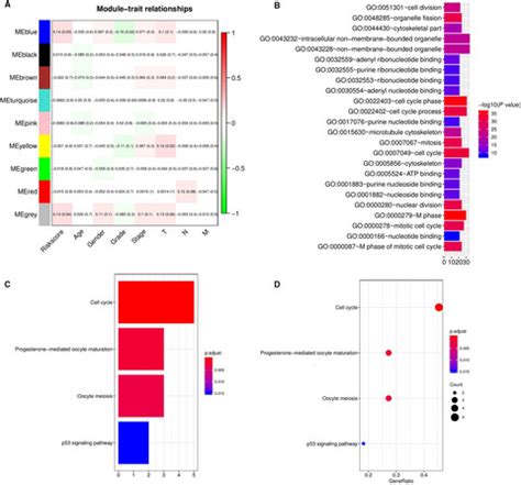 Comprehensive Analysis Of Five Long Noncoding Rnas Expression As