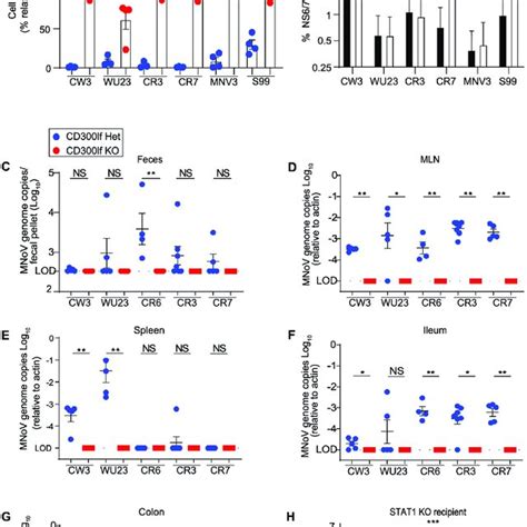 CD300lf Is Necessary And Sufficient For Infection By Diverse MNoV