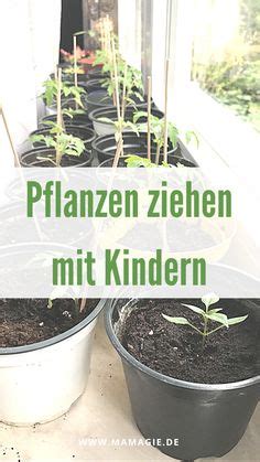 85 Garten mit Kindern Ideen in 2024 garten spiele im garten gärtnern