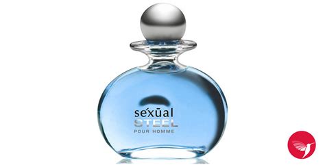 Sexual Steel Pour Homme Michel Germain Cologne Een Geur Voor Heren 2013