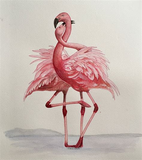 30 Best Flamingo Illustrations Ideas You Should Check