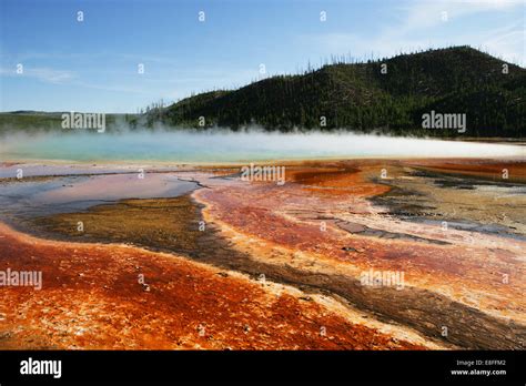 Aguas Termales Parque Nacional Yellowstone Wyoming Estados Unidos