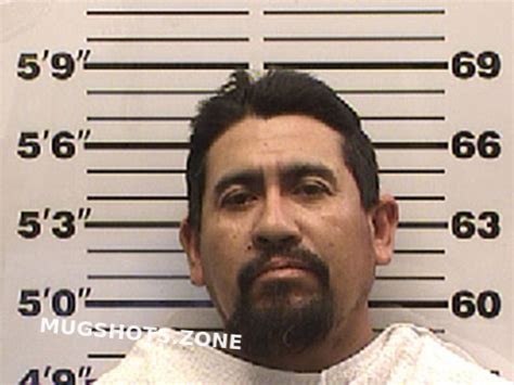 Diaz Alejandro Navarro County Mugshots Zone