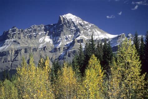 Canadian Rockies, Fall Colors Stock Photo - Image of fall, autumn: 2180062