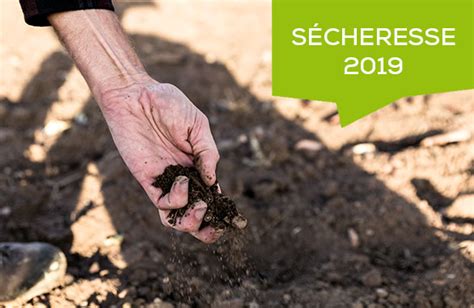 Sécheresse 2019 Quelles mesures et quelles démarches en place