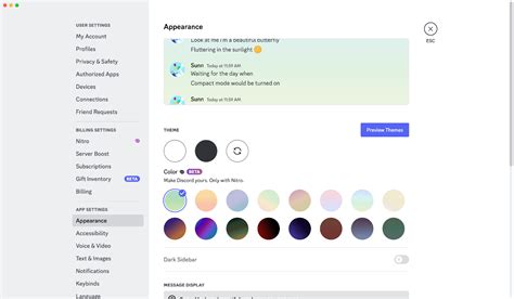 Now in Nitro: Bring Your Vibe to Discord with New Themes