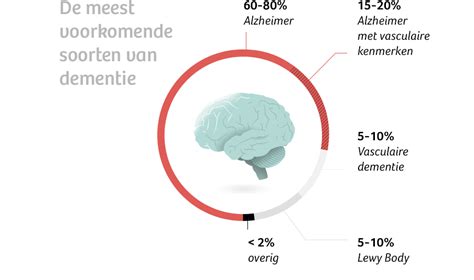 Dementie Lift Mee Met D Kenners Van Het Grote Vergeten De