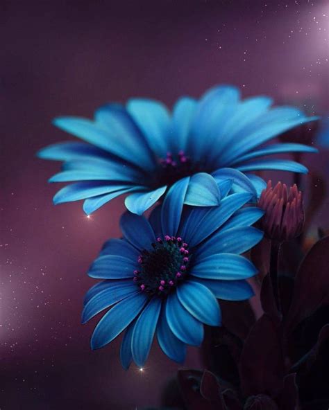 pin von arash photocollects auf mm beautiful flowers blumen