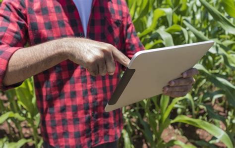 Integrating Data Into Farmers Decision Making Lessons From Asia