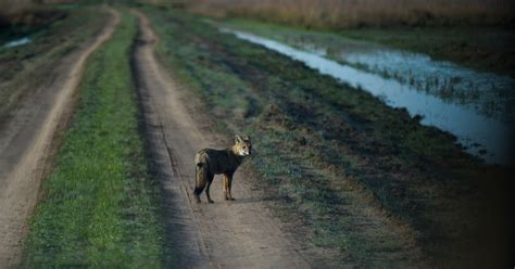 La Política Climática De Milei Ambiente Se Transforma En Una