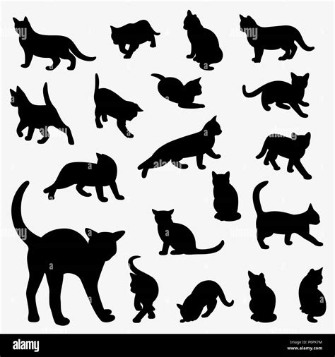 Katzen Silhouette Stock Vektorgrafiken Kaufen Alamy