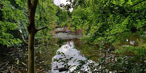 Farnley Hall Fish Pond Discover Leeds