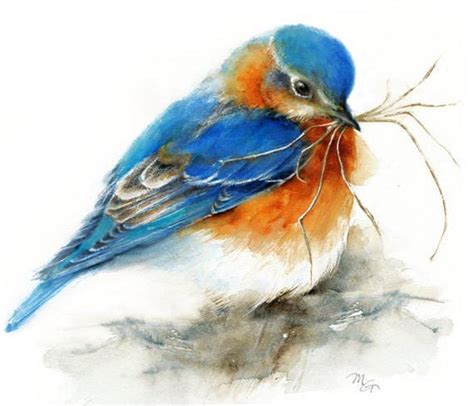 Bluebird Giclee Print of watercolor painting. Bird Art.