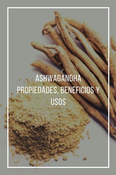 Descubre Los Beneficios Y Propiedades De La Ashwagandha La Hierba