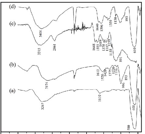 Ftir Spectra From Nanoparticles A Fe 3 O 4 B Fe 3 O 4 Nh 2 C