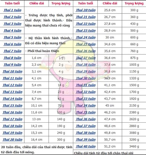 Cân nặng thai nhi theo tuần ảnh hưởng gì đến sức khỏe của bé