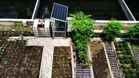 Inovasi Penggunaan Panel Surya Dalam Konsep Urban Farming PT Surya