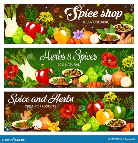 Herbs And Spices Seasonings Vector Banners Stock Vector Illustration