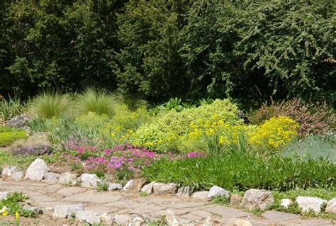 10 Plants For Dry Areas Best Landscape Ideas