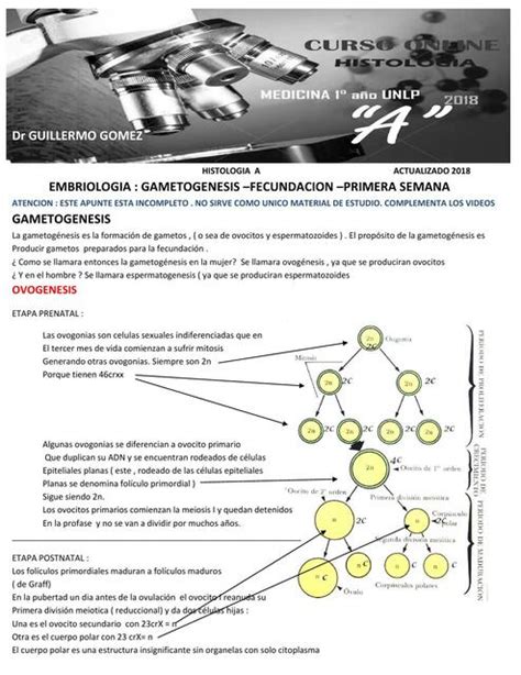 Embriología Gametogénesis Fecundación Primera Semana alejandra