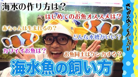 【はじめての海水魚飼育】さかなクンがオススメするお魚 Youtube