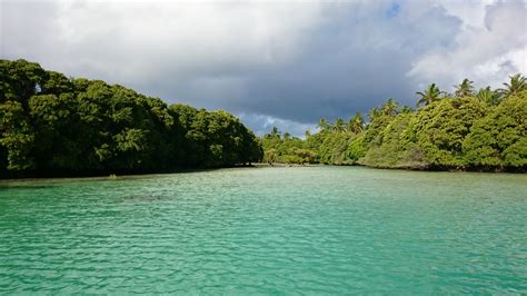 Images | Mangroves for the Future - Investing in coastal ecosystems