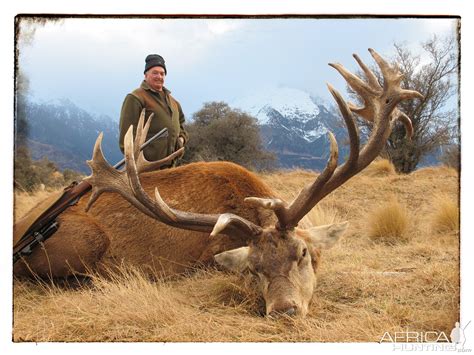 Hunting New Zealand Red Stag | AfricaHunting.com