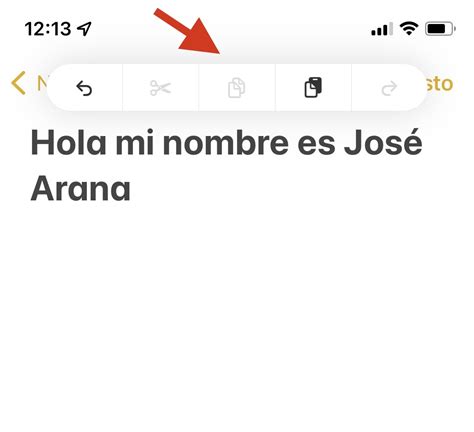 Los métodos para deshacer y rehacer un texto en iPhone o iPad