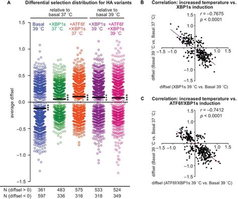 Enhanced Er Proteostasis And Temperature Differentially Impact The