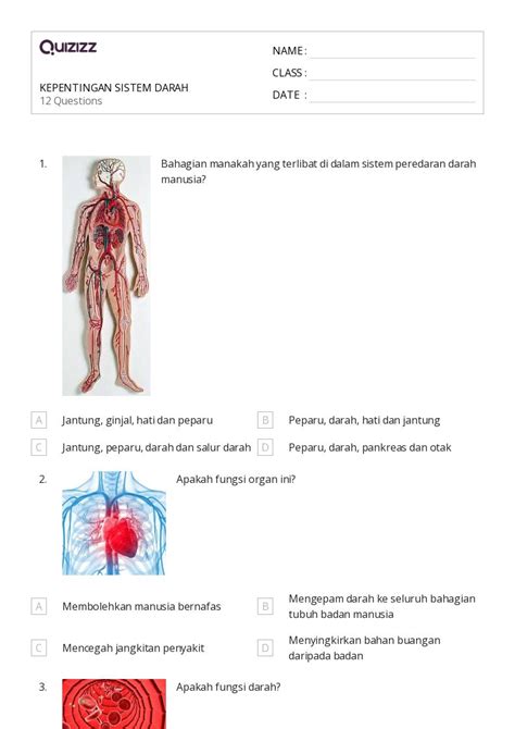 50 Lembar Kerja Sistem Peredaran Darah Dan Pernafasan Untuk Kelas 12