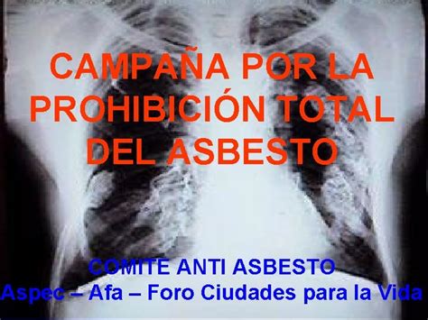 Los Peligros Del Asbesto Campaa Por La Prohibicin