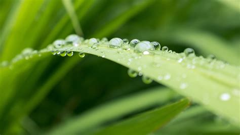 efficient irrigation tips superior