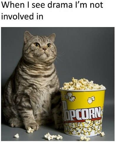 Drama Popcorn Meme