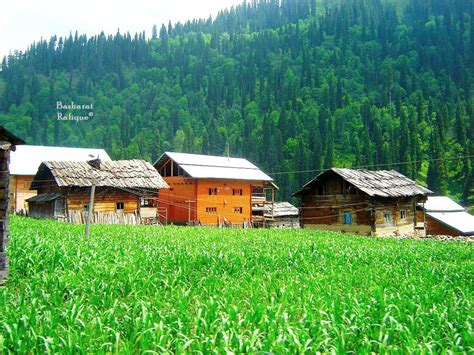 Pictures Of Must Visit Places In Neelum Valley Ajktours