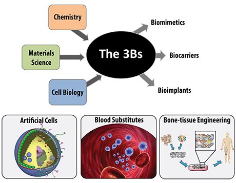 Biomimetics Biocarriers And Bioimplants The Bs Dtu Health Tech