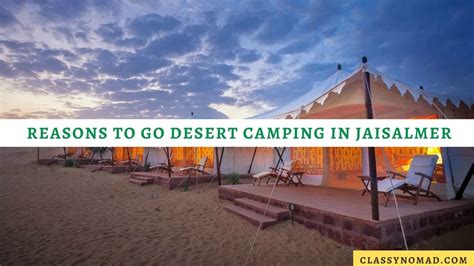 Top 12 Reasons To Go Desert Camping In Jaisalmer Classy Nomad