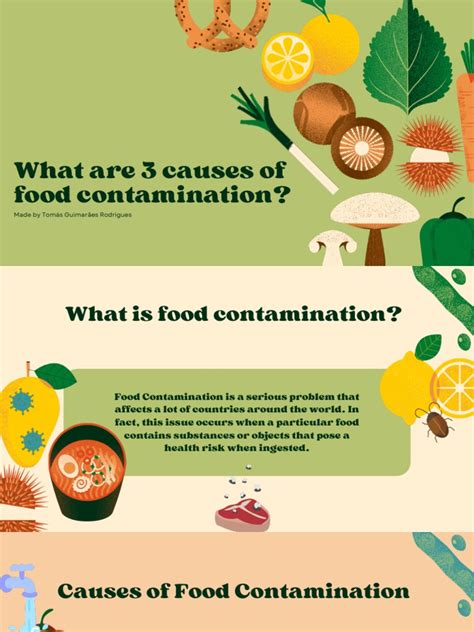 What Are 3 Causes of Food Contamination | PDF