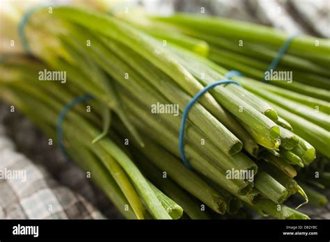 Manojos De Cebolla De Primavera Fotograf As E Im Genes De Alta