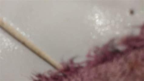 Sexo Carinho XVIDEOS