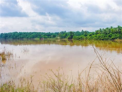 Flooded river stock photo. Image of natural, destruction - 272677184