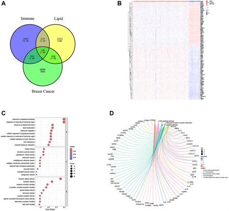 A Novel Signature Incorporating Genes Related To Lipid Metabolism And