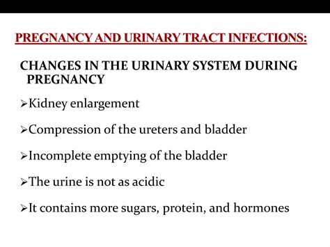 Urinary Tract Infection During Pregnancy Ppt