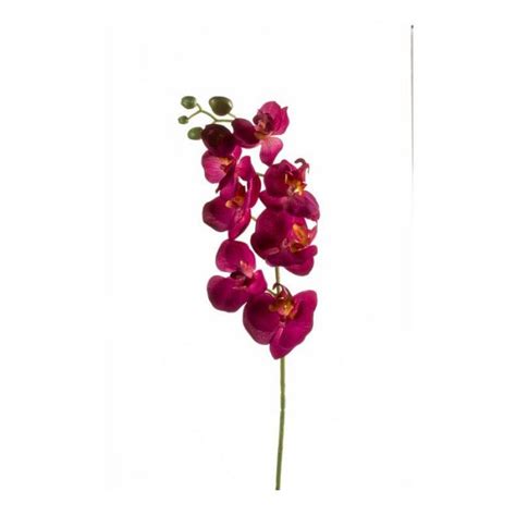 Acheter des Tige d orchidée Phalaenopsis en soie MINA rose fuchsia 70cm