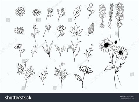 Black Silhouettes Grass Flowers Herbs Isolated Stock Vector Royalty Free 1969058383 Shutterstock